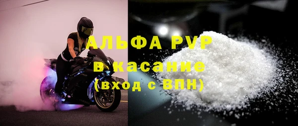 индика Балахна