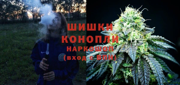 индика Балахна