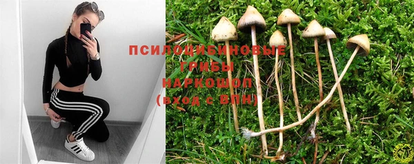 бошки Баксан