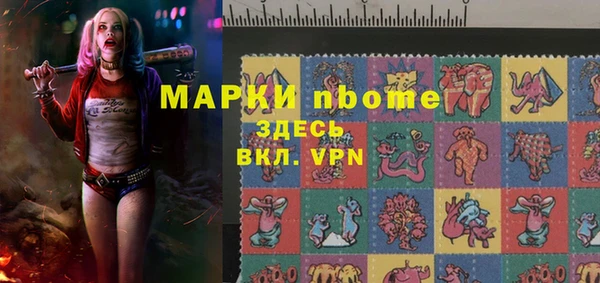 индика Балахна