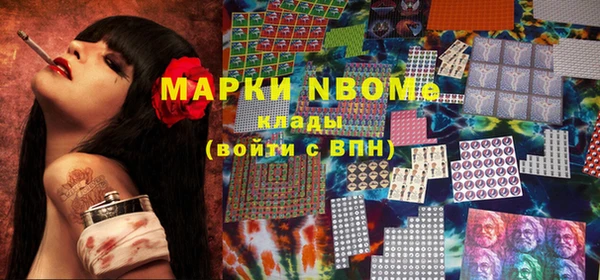индика Балахна