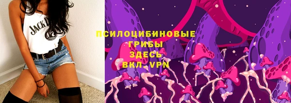 хмурый Корсаков