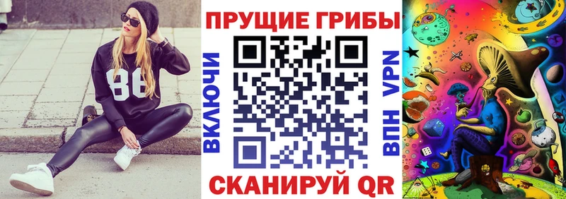 Псилоцибиновые грибы Magic Shrooms  Рудня 